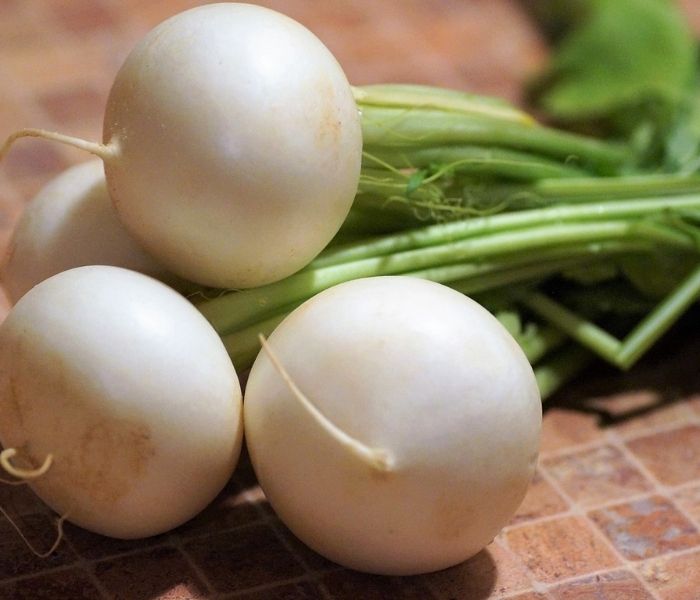 daikon fruit