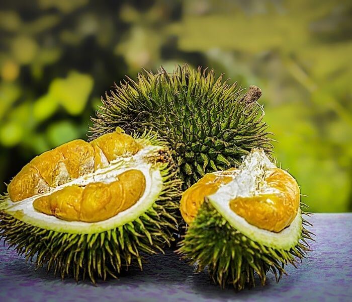 Durian