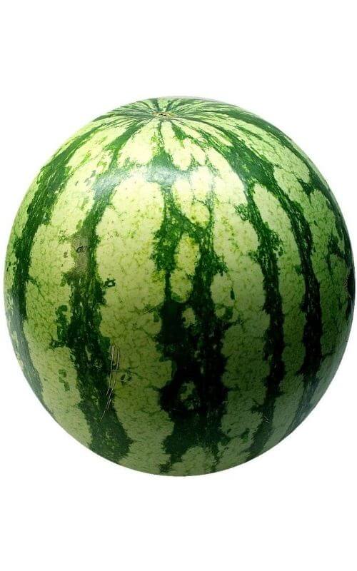 melon