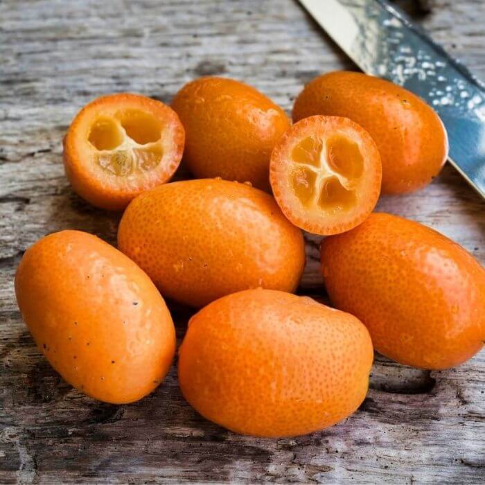 oval kumquat fruit