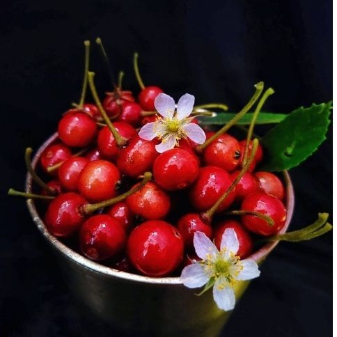 Jamaican cherry