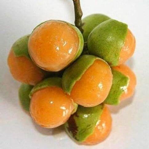 Mamoncillo fruit