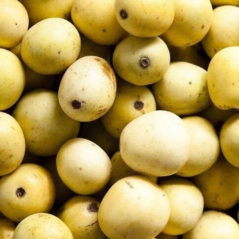 Marula fruit