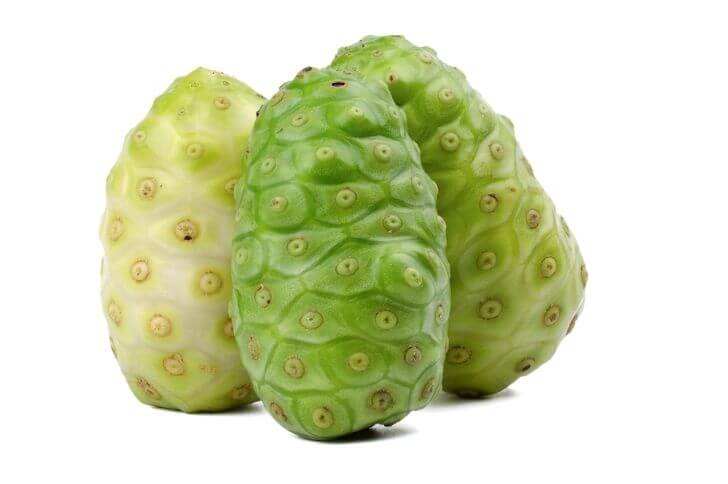 Morinda fruit