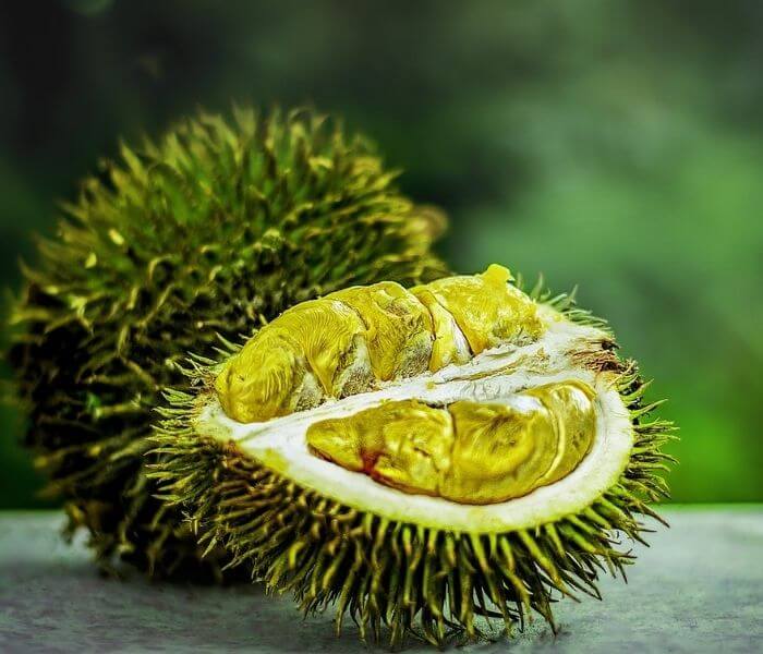 green spiky fruits 