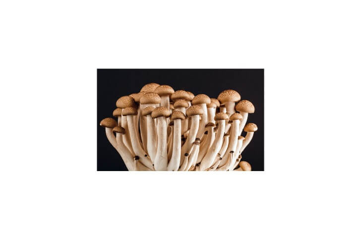 long mushrooms