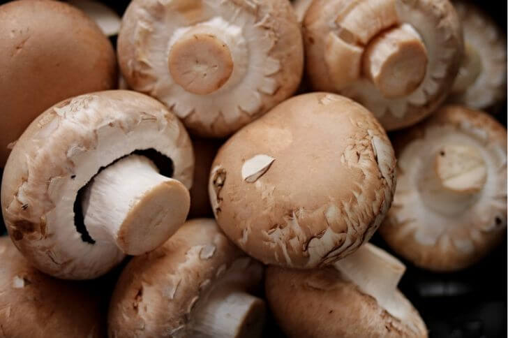 brown mushrooms