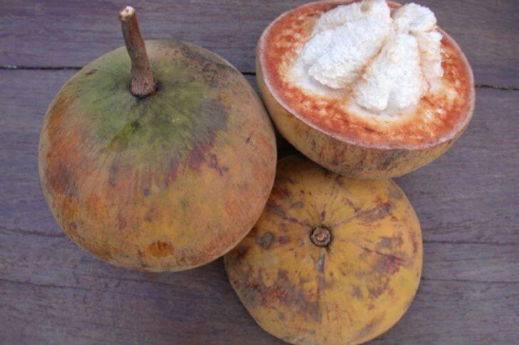 santol fruit