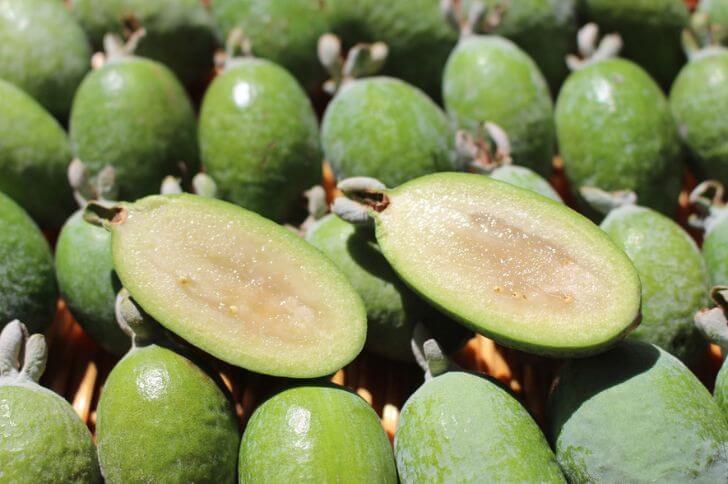 pineapple guava fruit