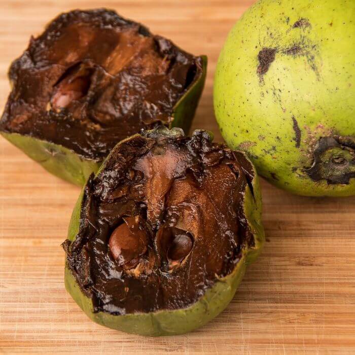 Black sapote