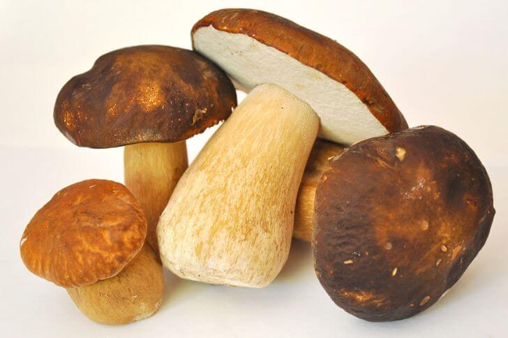 porcini mushrooms