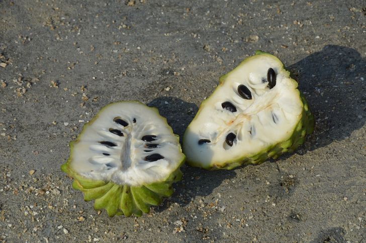 atis fruit