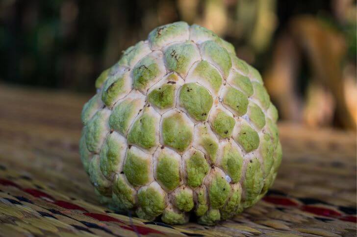 custard apple