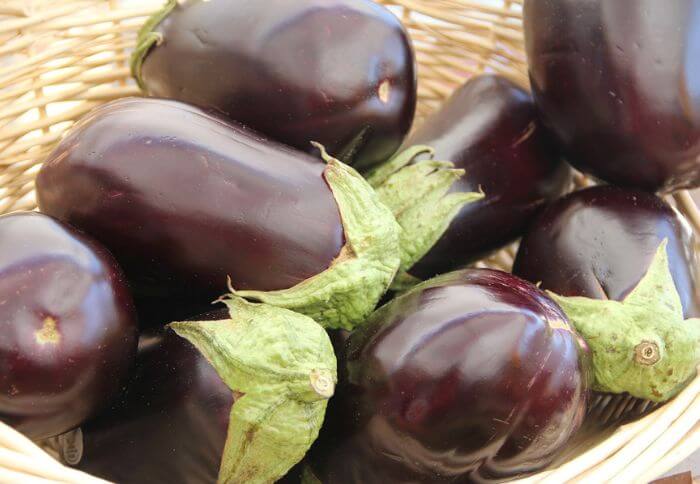 globe eggplants