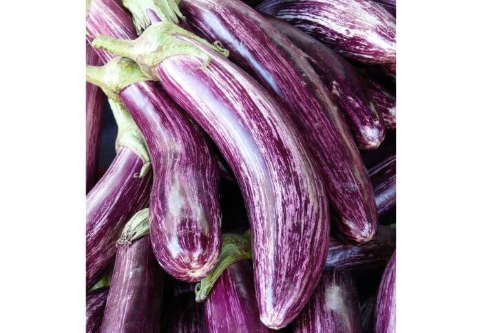 long eggplant varieties