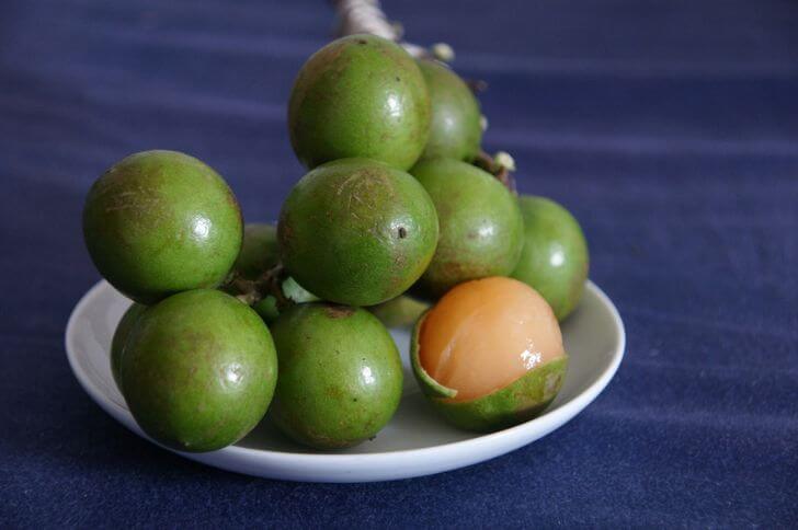 spanish limes