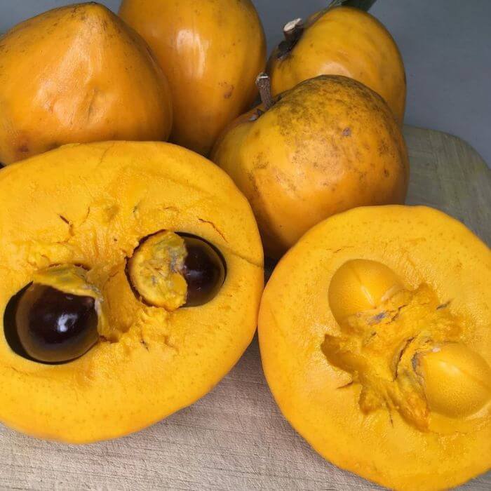 yellow sapote