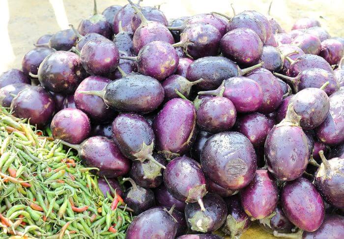 Indian Eggplants
