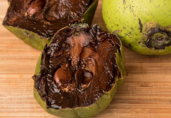 black sapote fruit
