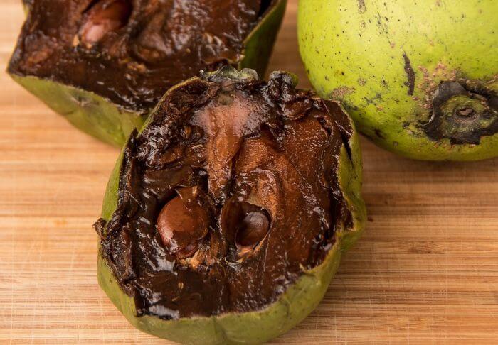 black sapote fruits 